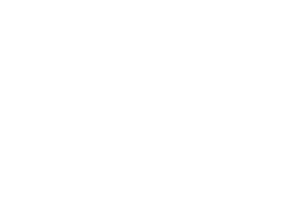 logo-holy